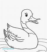 Duck Coloring Pages Cute Printable Duckling Cool2bkids Realistic Rubber Kids Drawing Baby Duckie Color Ugly Template Getcolorings Mallard Getdrawings Print sketch template