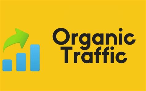 Organic Traffic Là Gì And Cách Tăng Traffic Tự Nhiên Tốt Nhất Cho Website