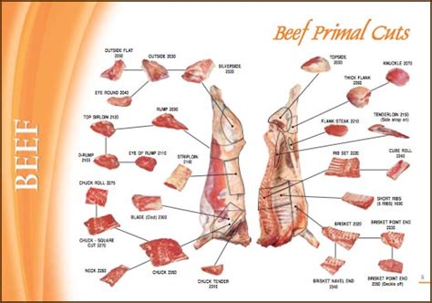 meat cuts meateaters