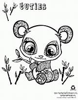 Panda Printable Coloring Popular Pages sketch template