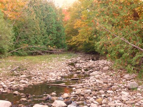 shallow river river outdoor water