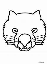 Lion Wombat Lizard Mascaras Lesson Possum Acevedo sketch template