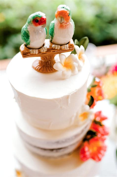 parrot wedding cake topper cupcake cake designs cake cake desserts