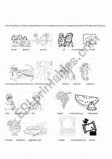 Comparatives Worksheet Comparative sketch template