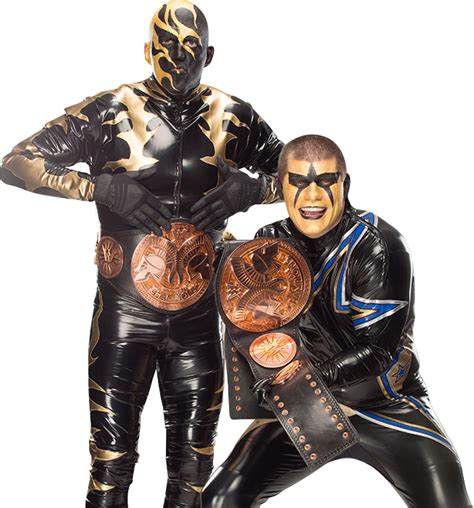 gold and stardust wwe tag team champions 2014 png by ambriegnsasylum16 on deviantart