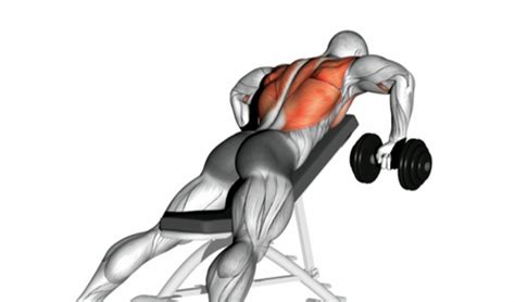 chest supported incline row dumbbell alignment tips  mistakes