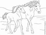 Coloring Horse Pages Horses Wild Baby Print Printable Color Drawing Mustang Sheet Sheets Kids Getcolorings Fall Coloriage Cheval Adult Interactive sketch template