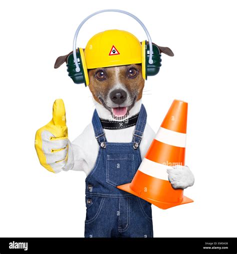 construction dog stock photo alamy