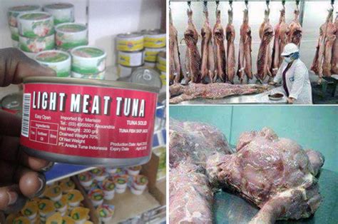 human flesh being sold as corned beef in zambia claims anger chinese daily star