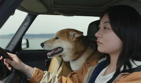 toko miura  drive  car   cars  classic films cinematography