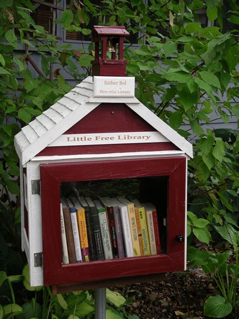 library worldwide effort  build tiny community libraries