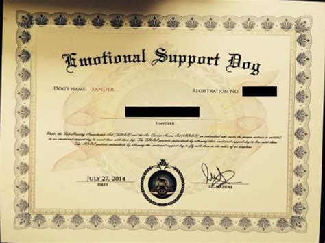 printable emotional support dog certificate printable templates