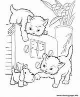 Coloring Pages Cat Cats Kittens Playing Kitten Kids Printable Puppies Puppy Oven Animal Color Three Cute Print Book Little Filminspector sketch template