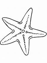 Starfish Coloringtop sketch template