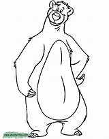 Baloo Drawings Colorare Orso Selva Giungla Kids Lb sketch template