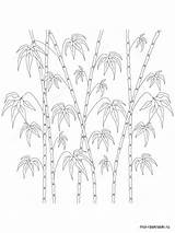 Bamboo Coloring Pages Printable Tree Color Getdrawings Kids Trees Template Getcolorings Recommended Print sketch template