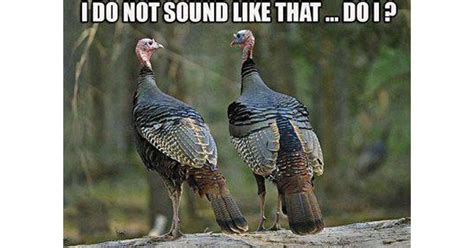 13 Memes Every Turkey Hunter Wants To Share [pics]