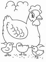 Chicks Coloring Hen Three sketch template