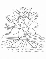 Coloring Flower Lotus Pages sketch template