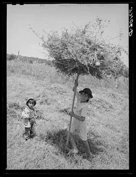 Spanish Girl Pitching Hay Chamisal New Mexico July 1940 [790x1024
