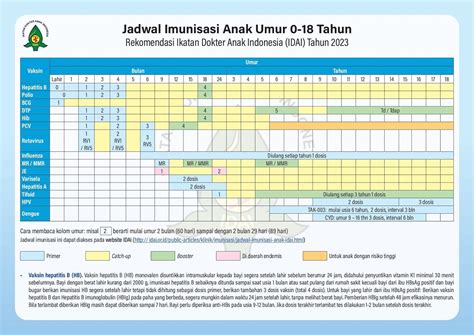 jadwal imunisasi bayi  terbaru tabel lengkap