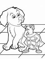 Pets Turtle Tuck Coloring4free Coloringsun Confuse sketch template
