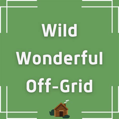wild wonderful  grid net worth location  controversy  cabinpreneur