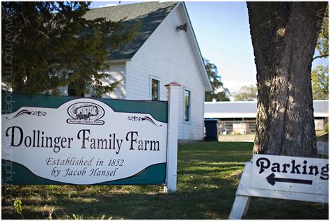 dollinger family farm fall activities  chicagoland families
