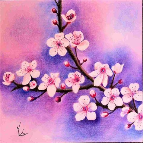 colored pencil flower drawings  paintingvalleycom explore