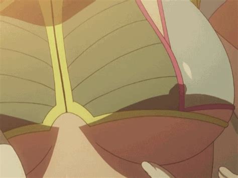 queens blade s2x01 08 hentai ecchi sorted by