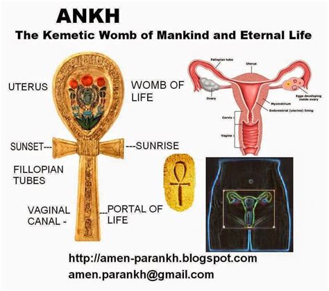 Meaning Of The Ankh African Consciousness