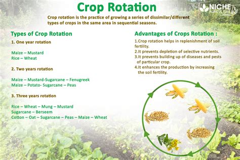 crop rotation importantcomponent  organic farming niche agriculture