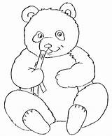 Panda Outline Cliparts Coloring sketch template