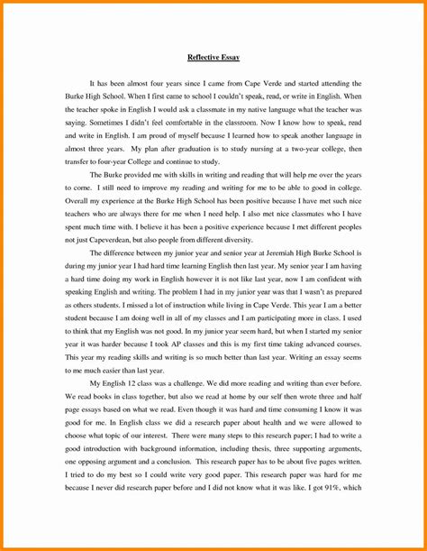 reflection paper   class reflection essay   blog