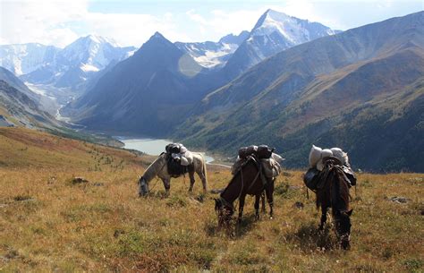 aserbaidschan pferde reiten  tuschetien kaukasus reisen pferde