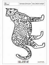 Pages Coloring Jacksonville Jaguars Jaguar Getcolorings Getdrawings sketch template
