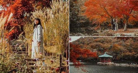 17 Photos That’ll Convince You To Explore South Korea This Autumn