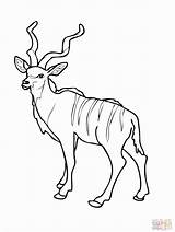 Kudu Antelope Pronghorn Impala Designlooter sketch template