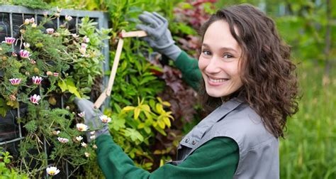 gardening costs guide     gardeners charge
