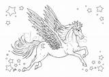 Pegasus Coloring Mandala Pages Horse Adult Adults Printable Getdrawings Drawing sketch template