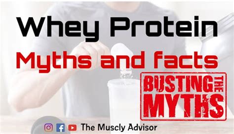Top 5 Whey Protein Myths And Facts The Muscly Advisor