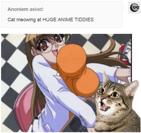 huge anime tiddies anime tiddies know your meme