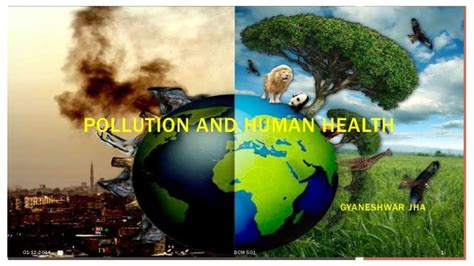 pollution  human health