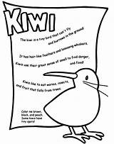 Kiwi Coloring Pages Color Bird Crayola Birds Animal Print Fly Kids Animals Tiny Cannot Facts Printable Crafts Back Popular Choose sketch template
