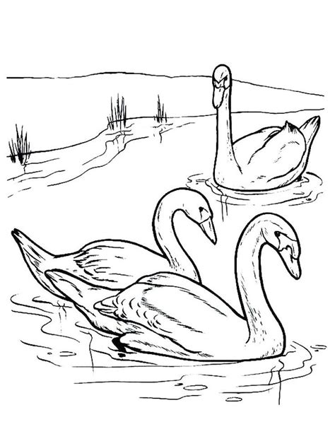 coloring page swan lake