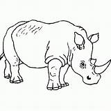 Animals Coloring Pages Safari Rhinoceros Wild Print Printable Color Drawing Getcolorings Animal Coloringcrew Getdrawings Couple sketch template