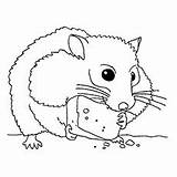 Hamster Coloring Pages Color Printable Print Colouring Hamsters Cute Animals Kids Pets Online Toddler Will Related Posts sketch template