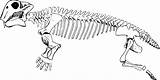 Lystrosaurus Triassic Openclipart Pages sketch template