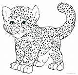 Cheetah Coloring Leopard Pages Printable Kids Snow Drawing Baby Print Animal Easy Cub Line Cool2bkids Sheets Realistic Cheetahs Clouded Colouring sketch template