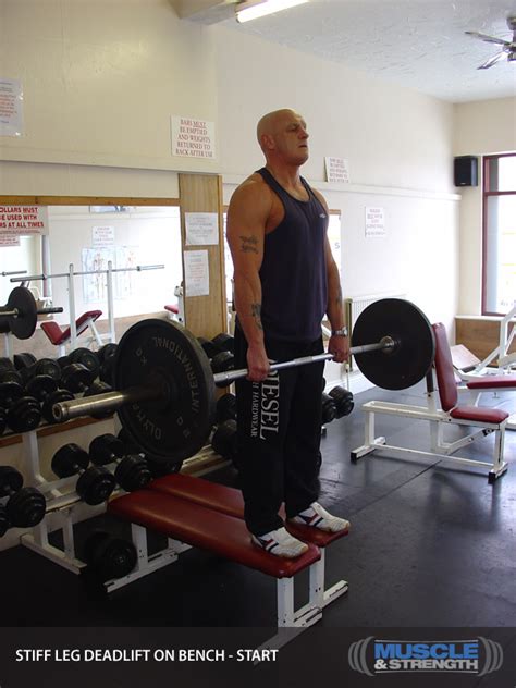 stiff leg deadlift on bench video exercise guide and tips